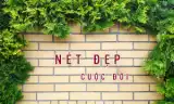 NÉT ĐẸP CUỘC ĐỜI