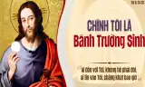 5 PHÚT LỜI CHÚA Chúa nhật tuần 18TN – B (cha Giám tỉnh Gioan)