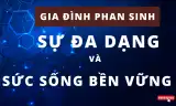 GIA ĐÌNH PHAN SINH: SỰ ĐA DẠNG VÀ SỨC SỐNG BỀN VỮNG